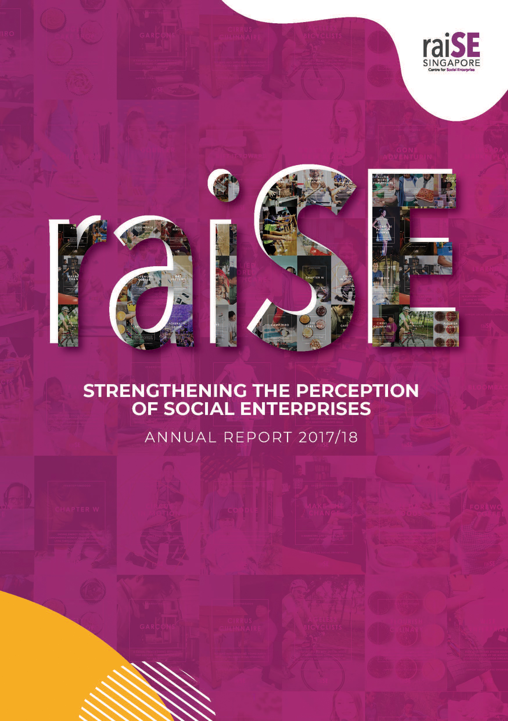 raiSE Annual Report 2017-18