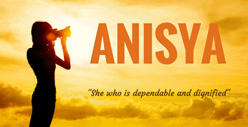 Anisya LLP