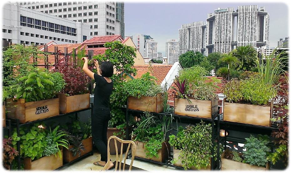 Edible Garden City Pte. Ltd.