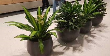 1631078649_raise2 image photo3