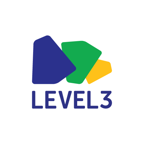 Level 3