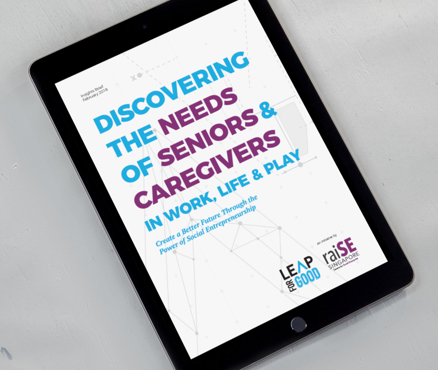 LeapForGood Insights Brief 2018: Discovering the needs of Seniors & Caregivers in Work, Life, and Play