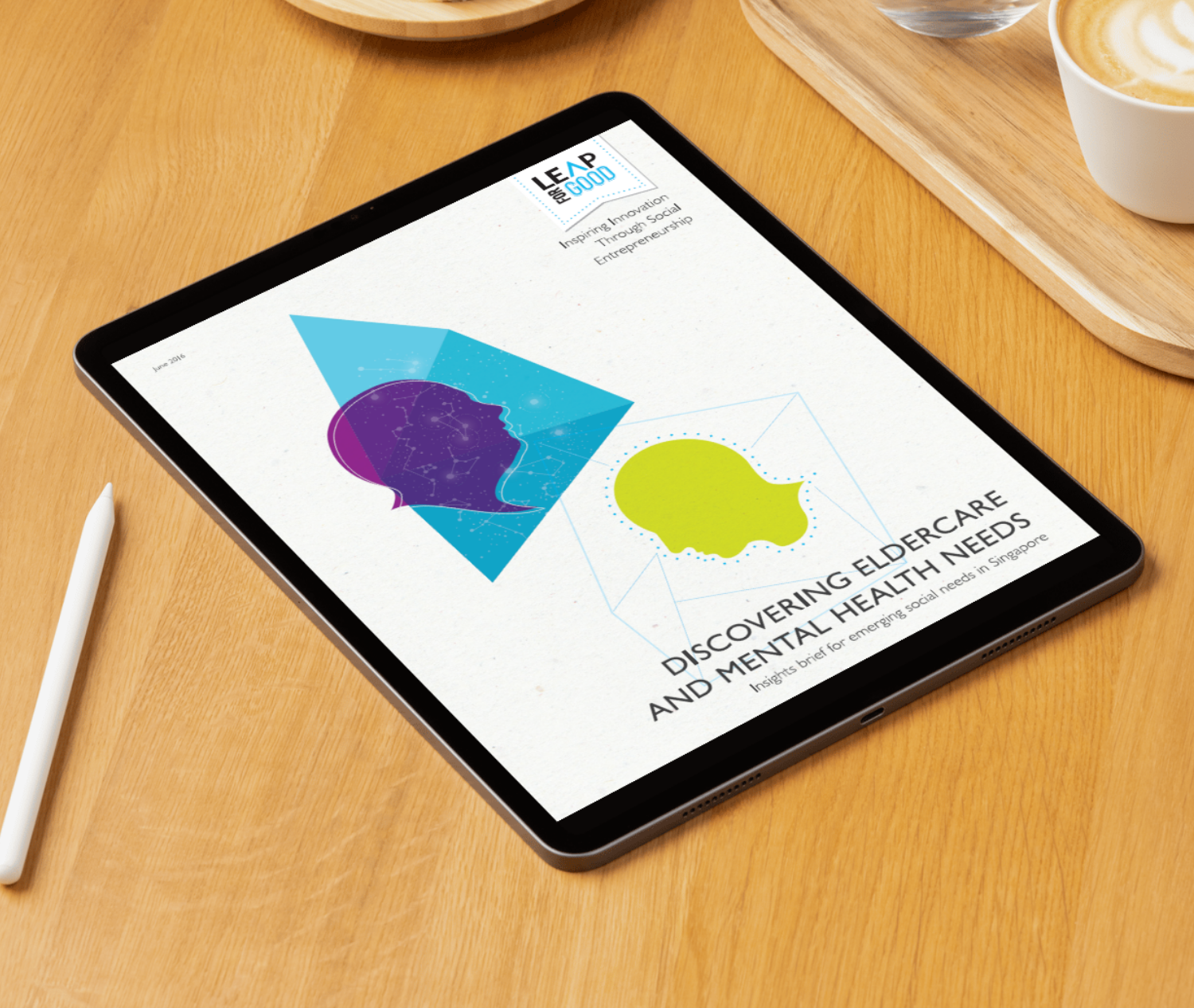 LeapForGood Insights Brief 2016: Discovering Eldercare and Mental Health Needs